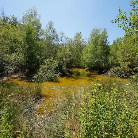 Campeggio Domaine La Faix, La Forestière