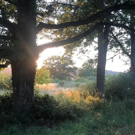 Campeggio Domaine La Faix, La Forestière Saint-Plaisir