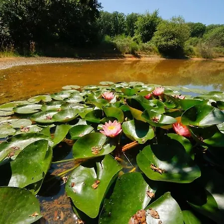 Campeggio Domaine La Faix, La Forestière *